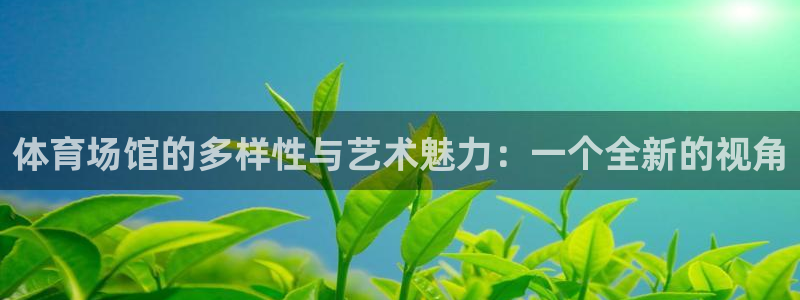 体育场馆的多样性与艺术魅力：一个全新的视角