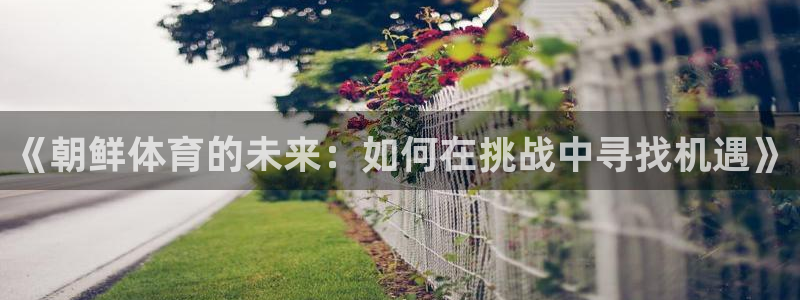 《朝鲜体育的未来：如何在挑战中寻找机遇》