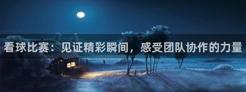 看球比赛：见证精彩瞬间，感受团队协作的力量
