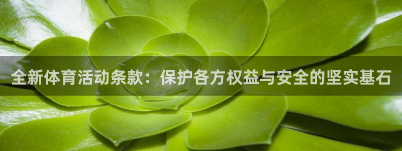 全新体育活动条款：保护各方权益与安全的坚实基石