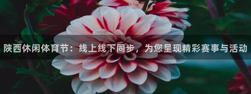 陕西休闲体育节：线上线下同步，为您呈现精彩赛事与活动